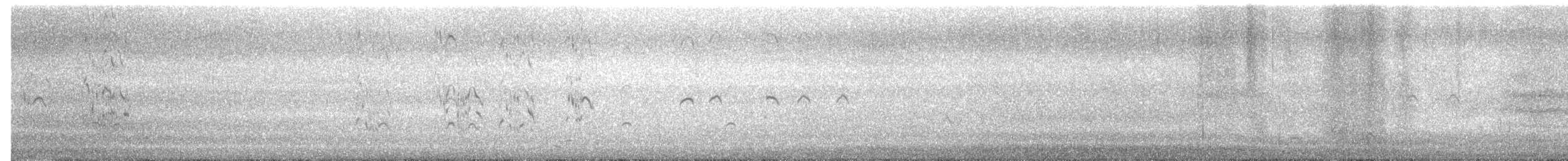 Elegant Tern - ML645371385