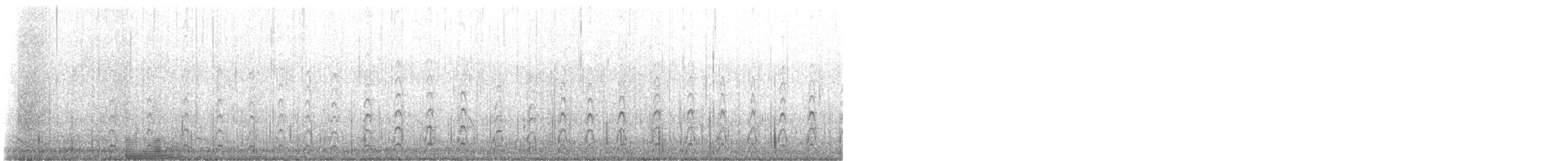 Black-necked Stilt - ML645371679