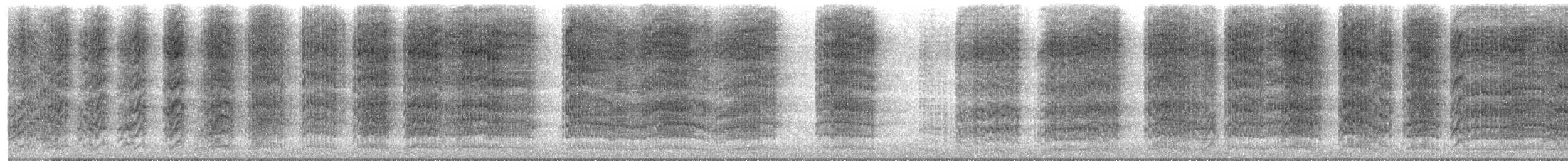 Cotorra Argentina - ML645371803