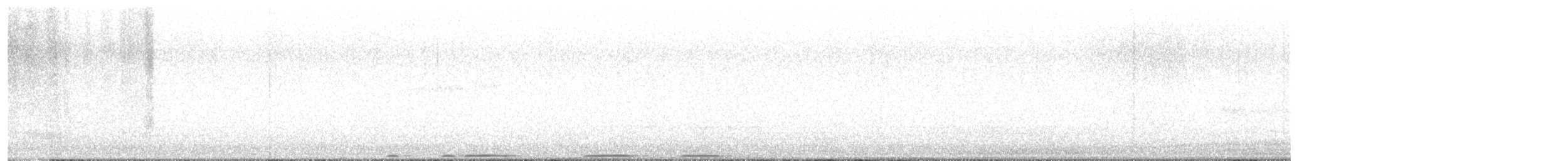 Búho Americano - ML645371824