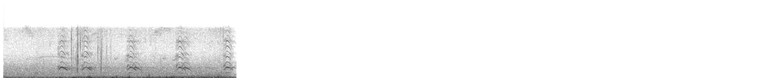 Cuervo Americano - ML645371830