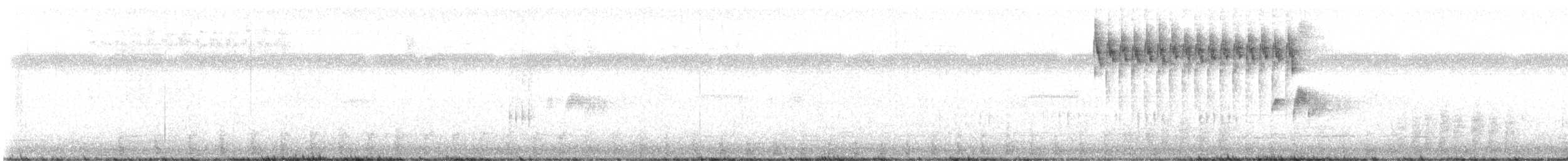 Semillero Tomeguín - ML645372039