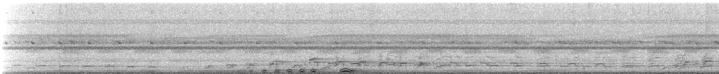 Cárabo Negro - ML645372178