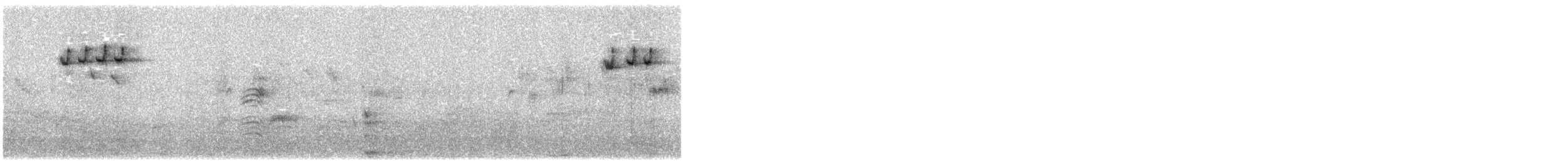 Reyezuelo Listado - ML645372538