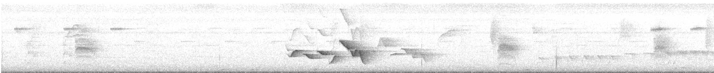 Cucarachero Pechirrufo - ML645372681