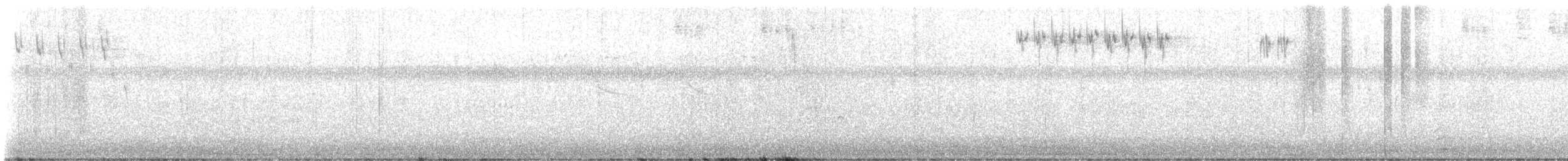 Semillero Tomeguín - ML645373123