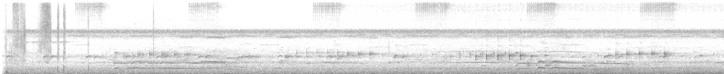 Autillo Puertorriqueño - ML645373180