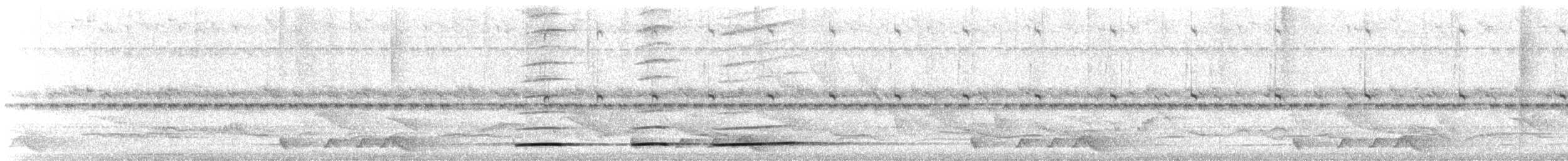 Tinamú Ondeado - ML645373247