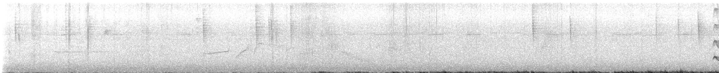 Trepatroncos Cacao (grupo nana) - ML645373433