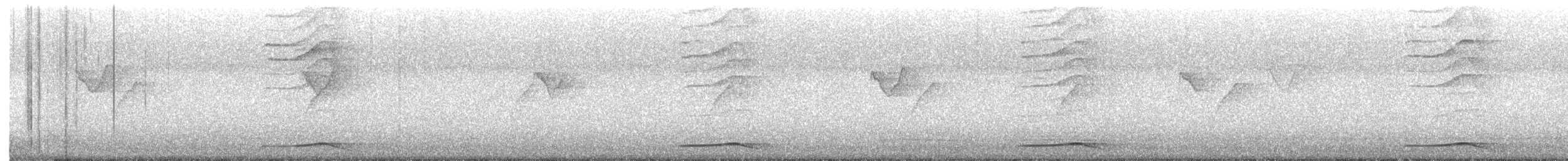 Koel Occidental - ML645373572