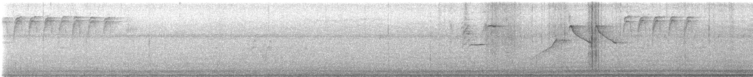 Semillero Pizarroso - ML645373859