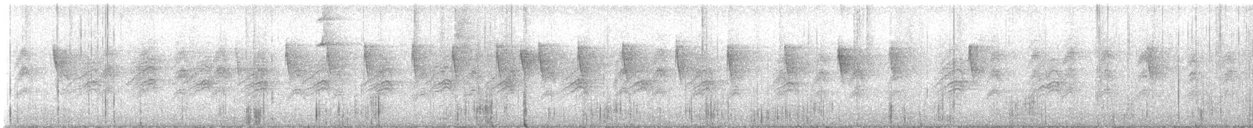 Lesser Greenlet (Northern) - ML645374869