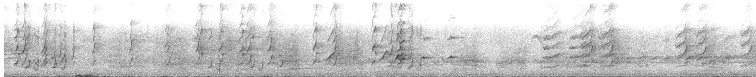 Noisy Miner - ML645374956