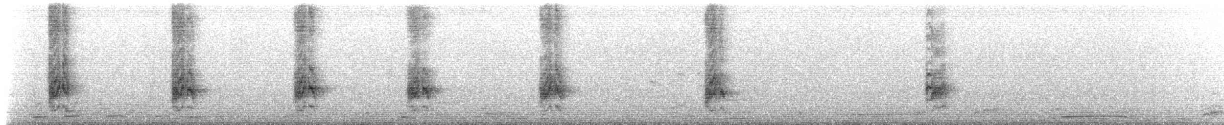 Long-tailed Shrike - ML645375222