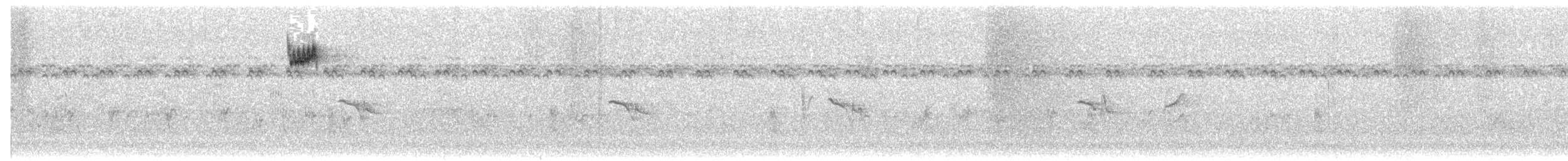 Eyebrowed Thrush - ML645375548