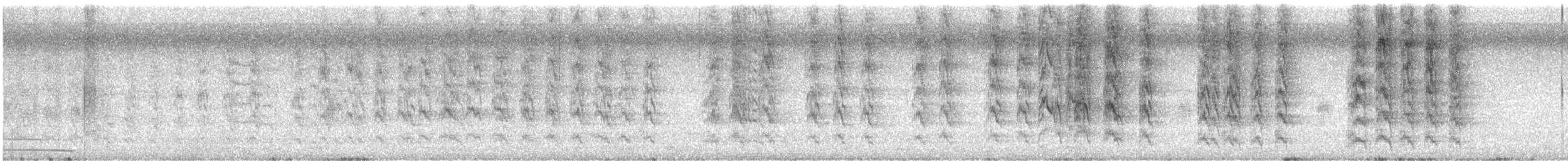 Orange-fronted Parakeet - ML645375804