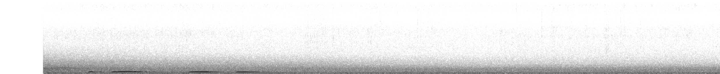 Virginiauhu - ML645376175