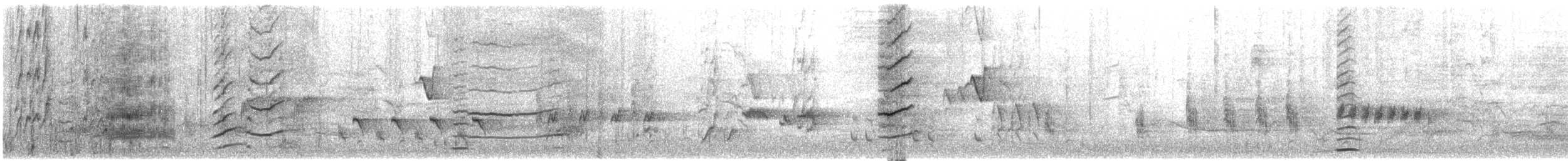 Papuateichhuhn - ML645376380