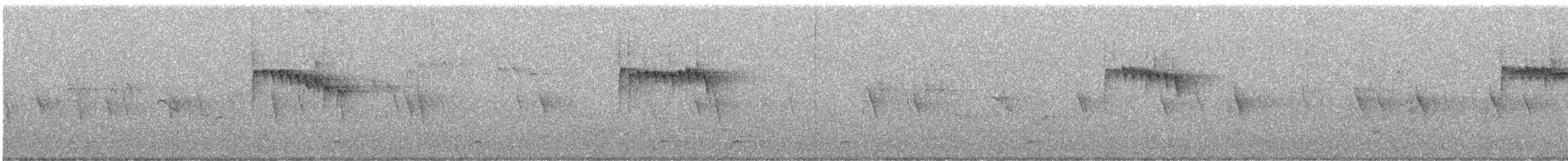 Schieferkopf-Dickichtsänger - ML645376756