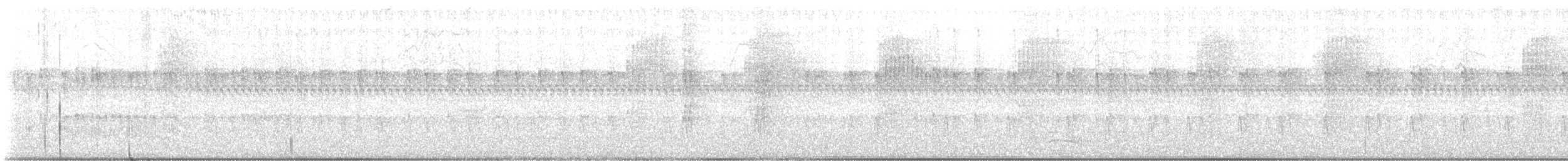 Weißohrsibia - ML645376803