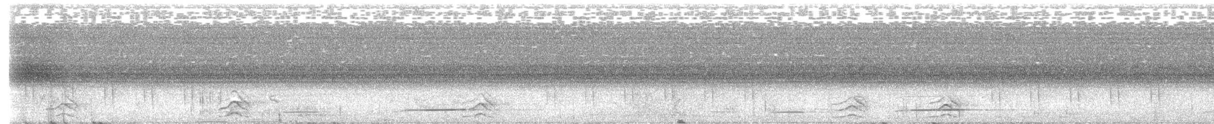 Spatelracke - ML645376845