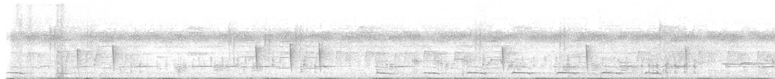 Kapzwergkauz - ML645376869