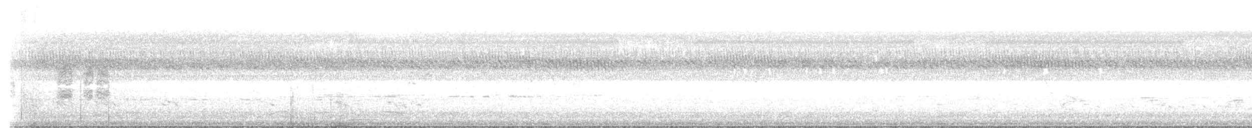 Halsbandfrankolin - ML645376930