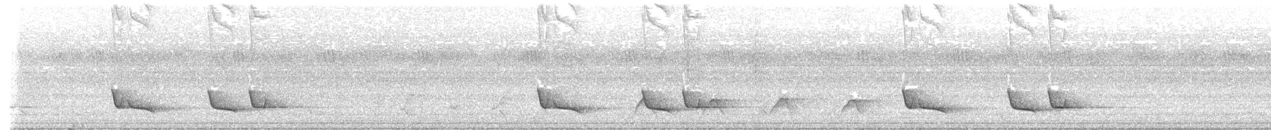 Smaragdkuckuck (cupreus) - ML645376941