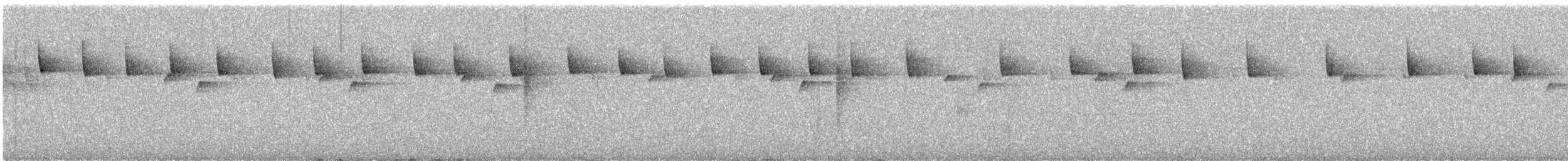 Goldbinden-Laubsänger - ML645377197