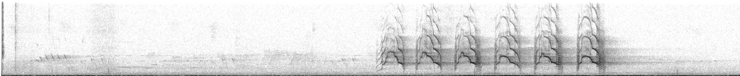 Gelbschwanz-Rabenkakadu - ML645377224