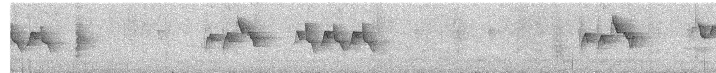 Ashy-throated Warbler - ML645377383