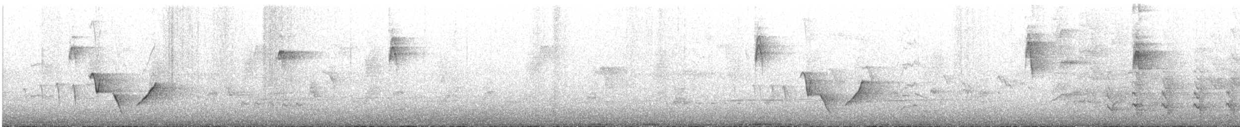 New Holland Honeyeater - ML645377490