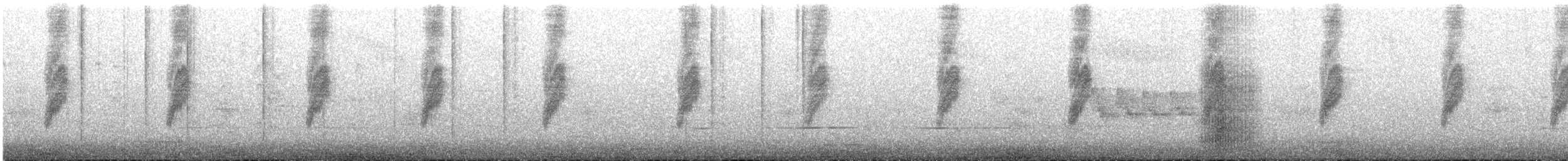 Red Wattlebird - ML645377494