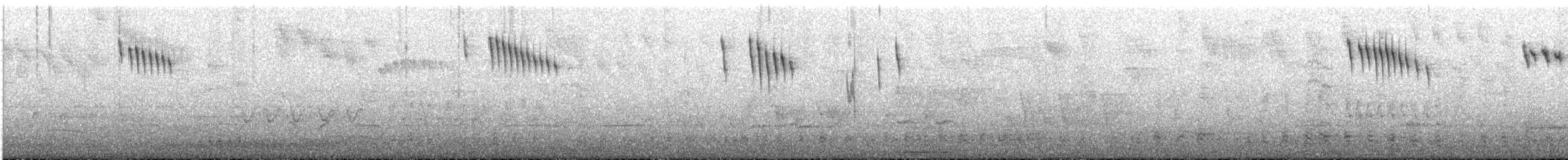 Superb Fairywren - ML645377511