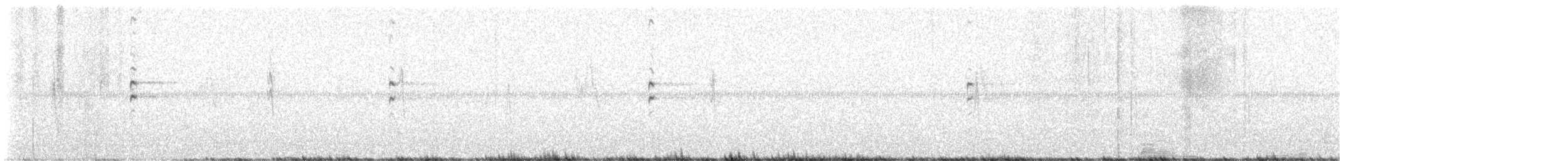 Broad-tailed Grassbird - ML645378440