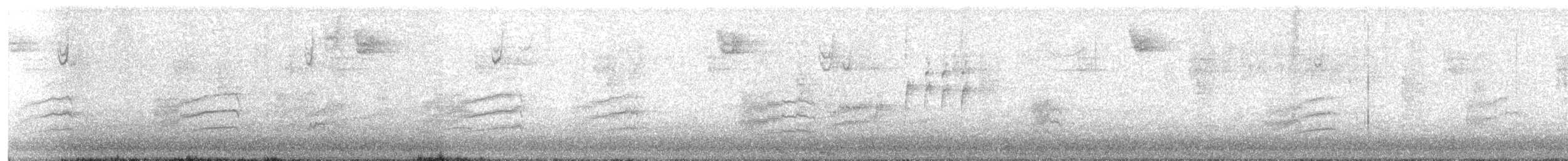 Пятнистый тохи - ML645378618