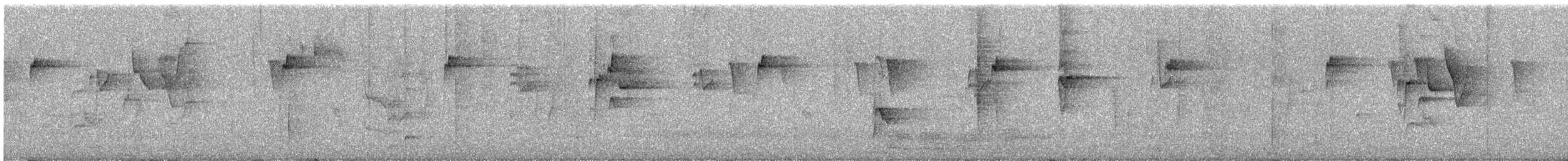 bird sp. - ML645378691