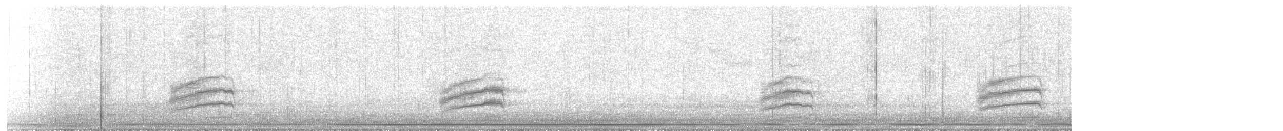 Пятнистый тохи - ML645378814