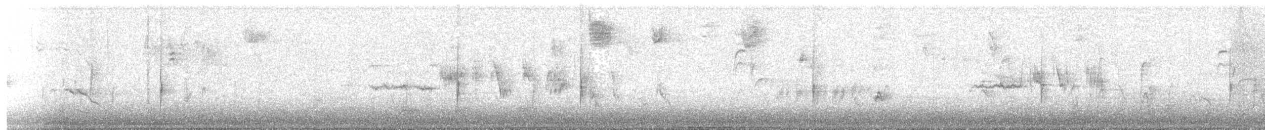 Chingolo Coroniblanco (pugetensis) - ML645378892