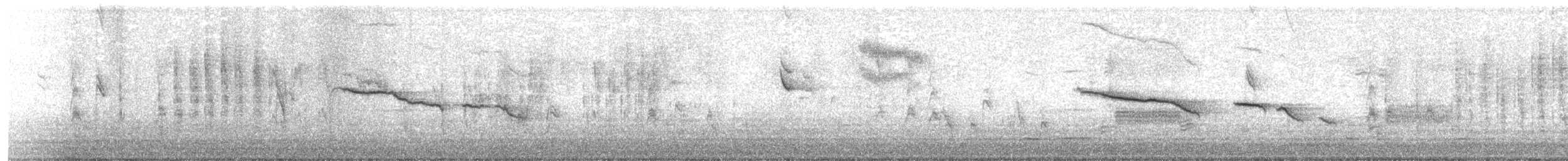 Chingolo Coronidorado - ML645378904