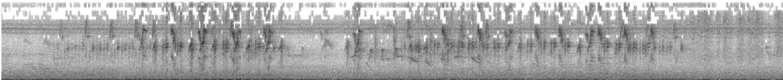 Obispo Rojo - ML645378913