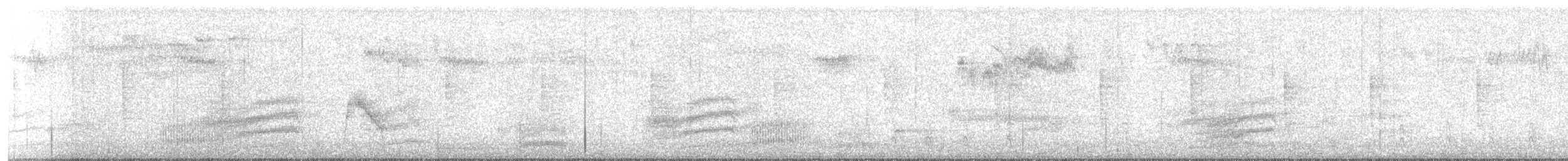 Пятнистый тохи - ML645378940