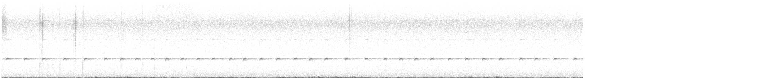 White-throated Treecreeper (White-throated) - ML645379156