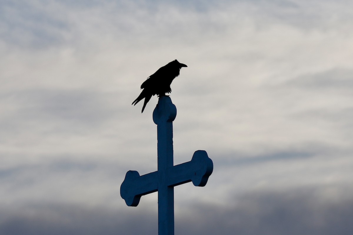 Erroi handia - ML645379158