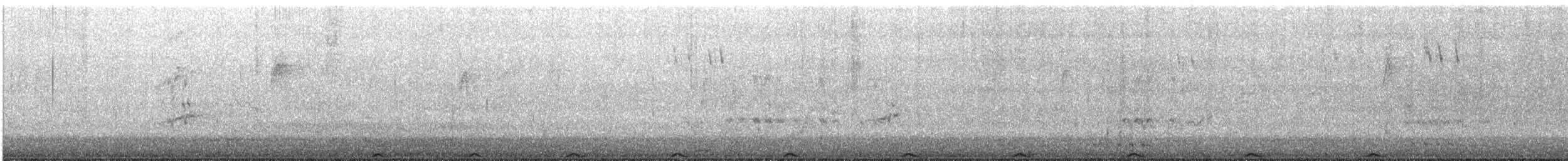 Crested Pigeon - ML645379266