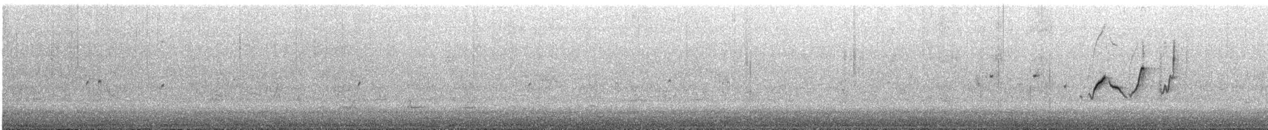 Weebill - ML645379267