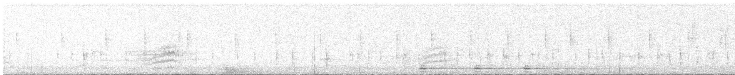 Пятнистый тохи - ML645379313