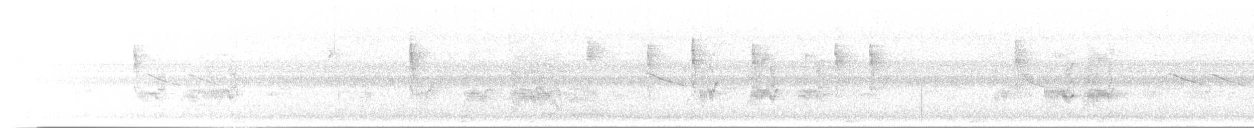 Loro Senil - ML645379373