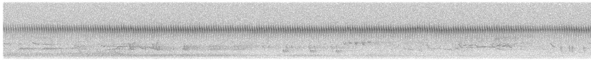 Buscarla Pintoja - ML645379449