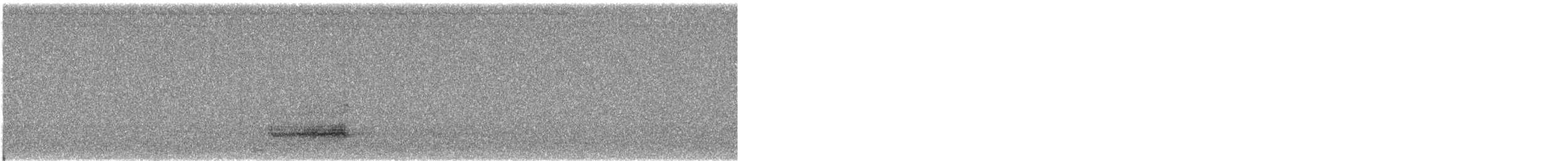 American Barn Owl - ML645379939